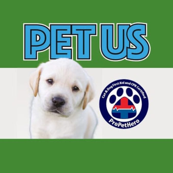PET US Sint Maarten